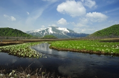 下の大堀川