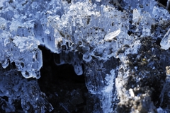 霜柱４