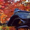 三渓園‐紅葉