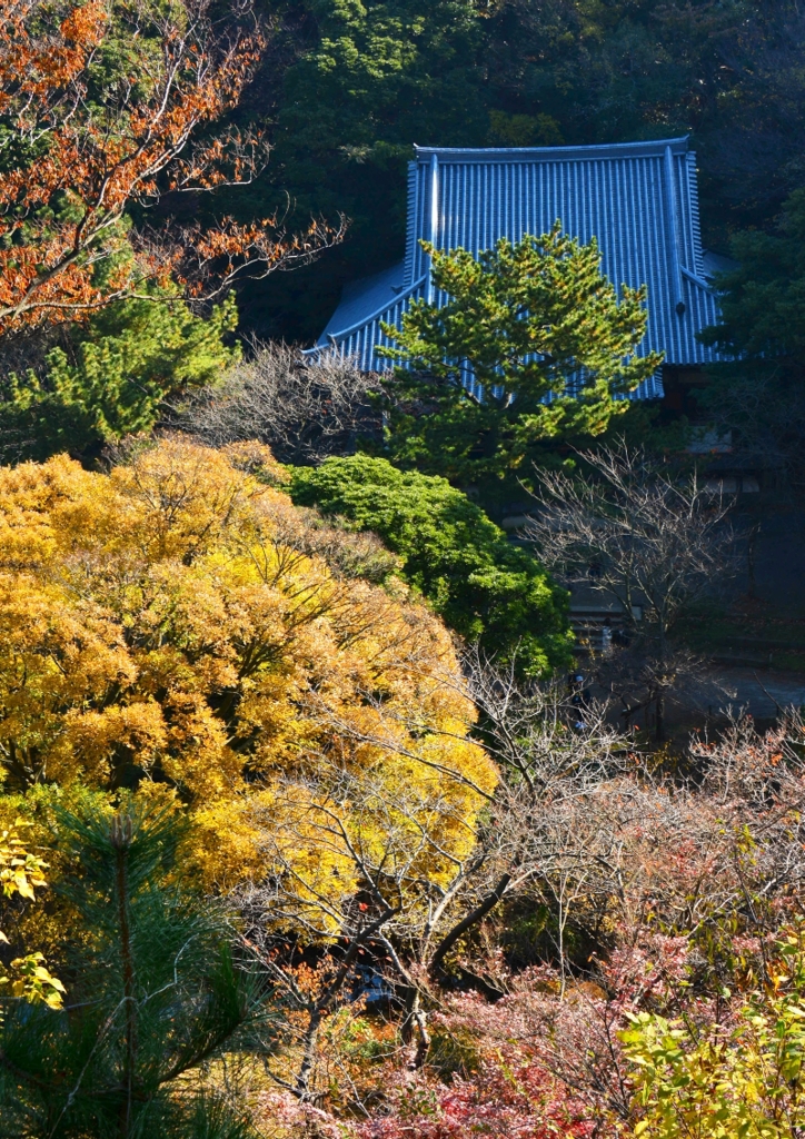 三渓園ー紅葉