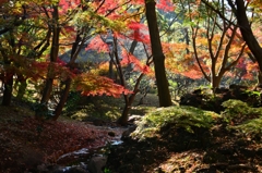 三渓園‐紅葉