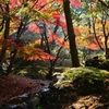 三渓園‐紅葉