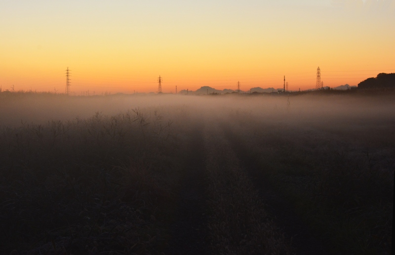 霧の風景-この道はどこへ