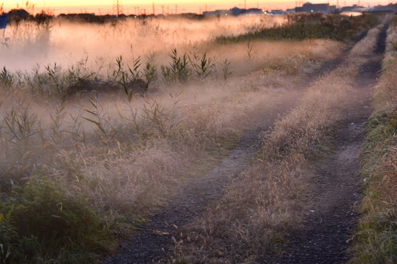 霧の風景ー地面を這う By デジジー Id 写真共有サイト Photohito