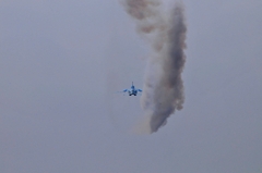 DSC_8476IV