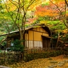 三渓園‐紅葉