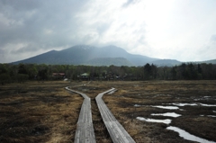 見晴らし前の木道