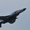 DSC_8480PN