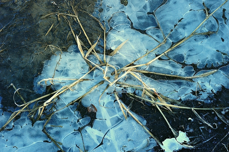 氷の文様４