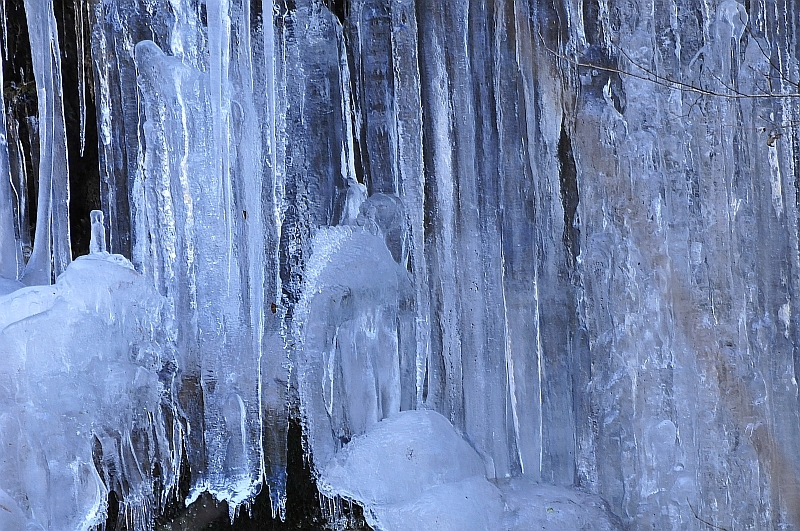 _DSC7201