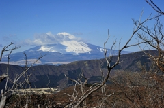 神山登山道５