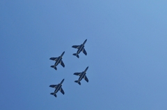 DSC_8423IV