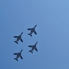 DSC_8423IV