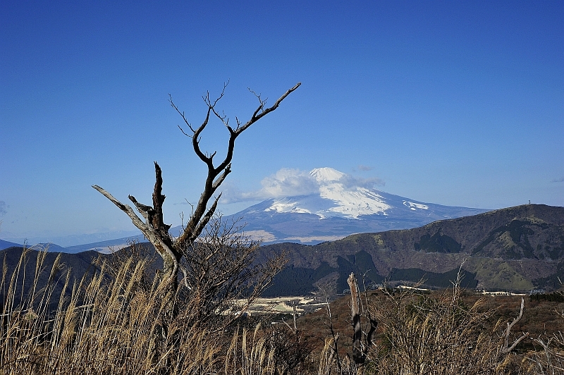 神山登山道４