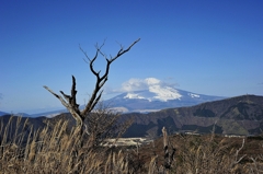 神山登山道４