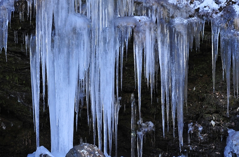 _DSC7142