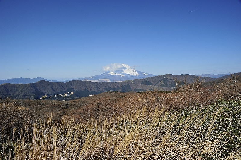神山登山道７