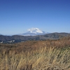 神山登山道７