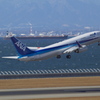ＡＮＡ　Ｂ７３７