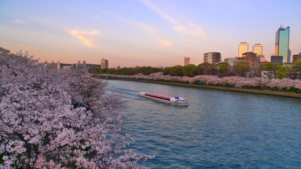 桜と水上バス