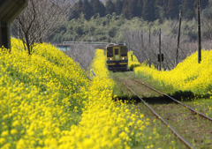 いすみ鉄道2