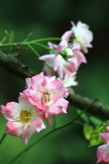 08