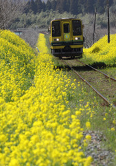 いすみ鉄道3