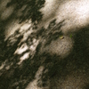 AVEN0154