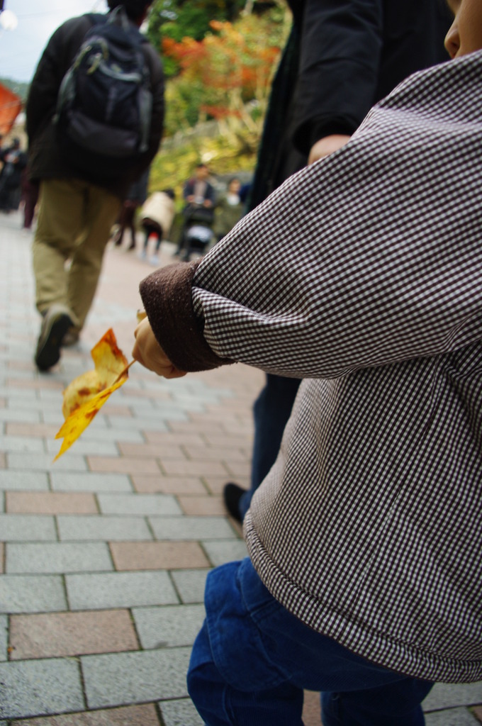 もう紅葉終わるなぁ