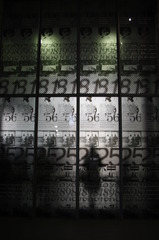 シルシルエット