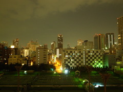 Osaka Night View