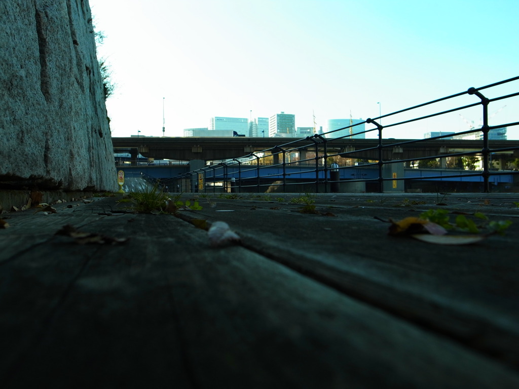 Board Walk