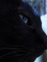 What are you looking at?