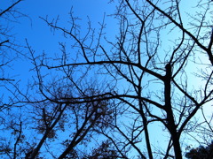 Winter season