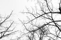 Cold weather