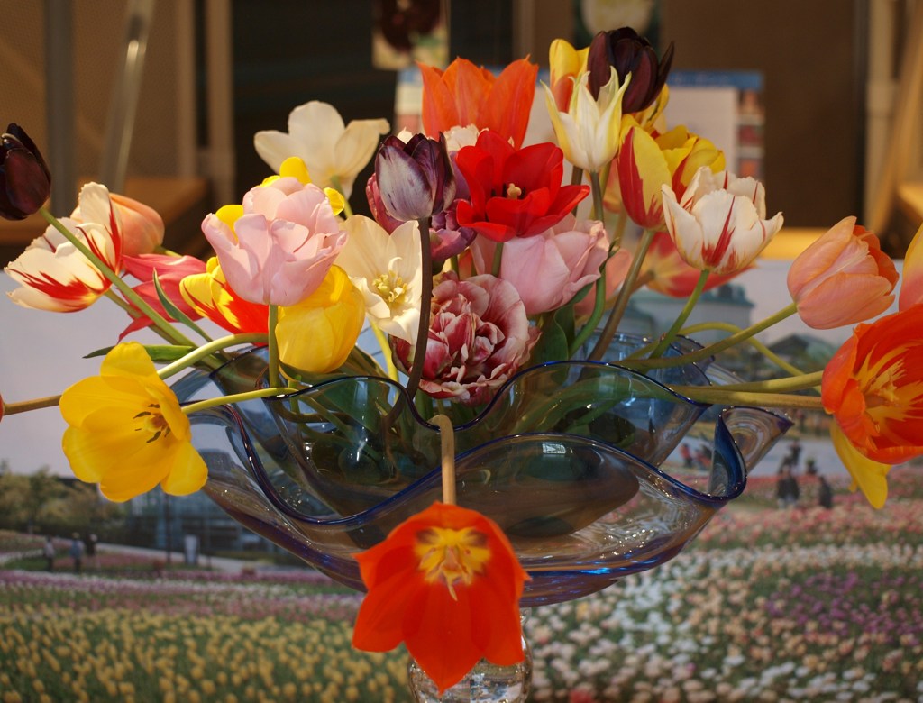花盛