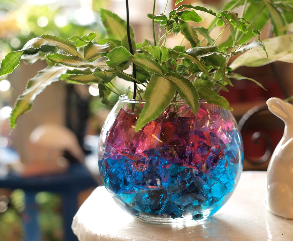 花瓶の植物