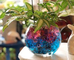 花瓶の植物