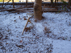 家の庭初雪