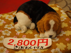 これは縫ぐるみです