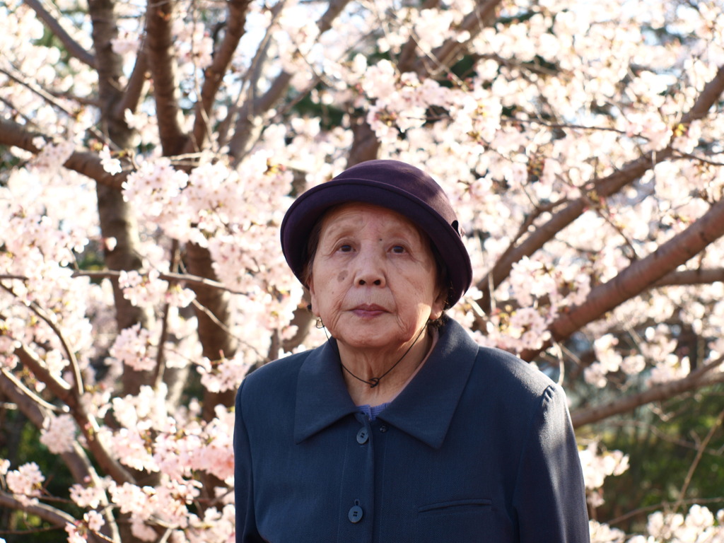 老婆と桜