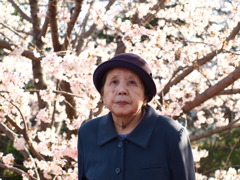 老婆と桜