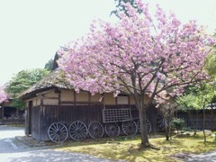 越後の旧農家