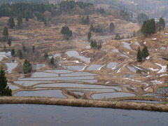 棚田