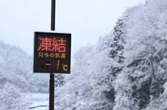 凍結