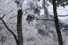 樹氷と矢倉岳