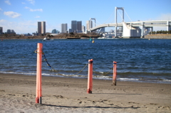 寒い海＠お台場