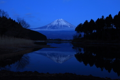 ブルーライトFUJIYAMA