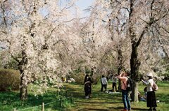 神代植物公園#05