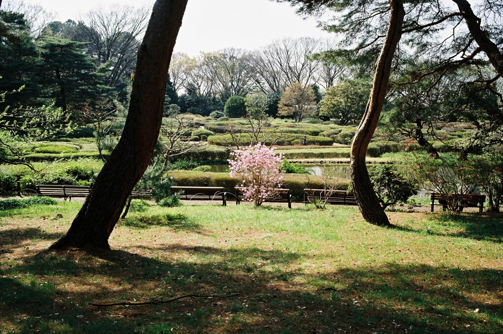 神代植物公園#01